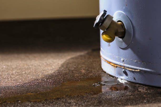 Best Local water damage restoration  in Hartford, MI