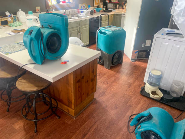 Best Emergency water damage restoration  in Hartford, MI