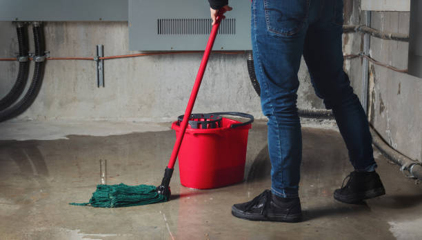 Best Water damage restoration near me  in Hartford, MI
