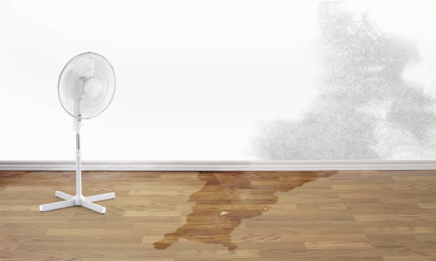 Best Fire Damage Restoration  in Hartford, MI