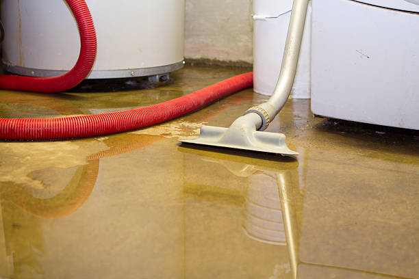 Best Mold removal after water damage  in Hartford, MI