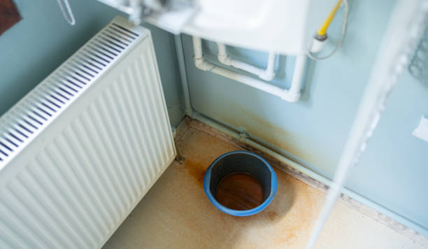 Best Water damage restoration process  in Hartford, MI
